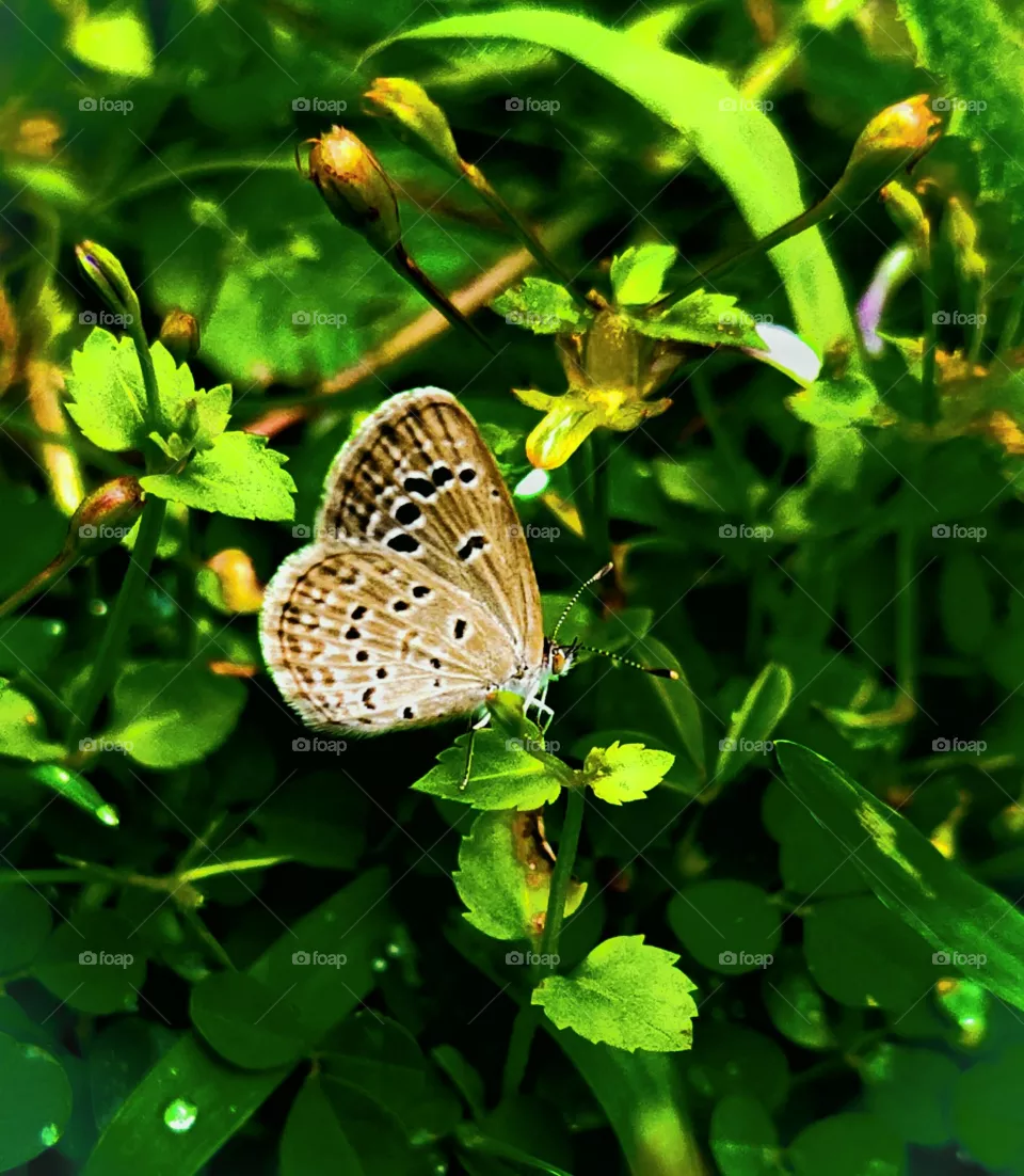 💚💚