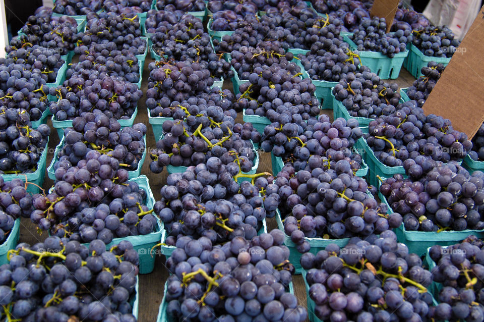 blueberries in baskets