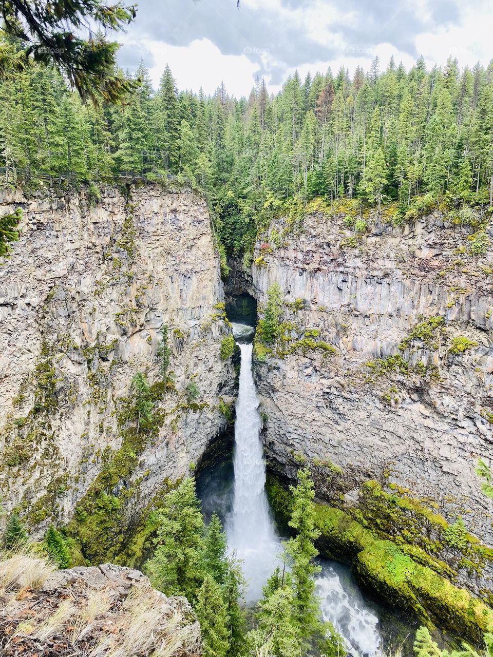 All green, everything