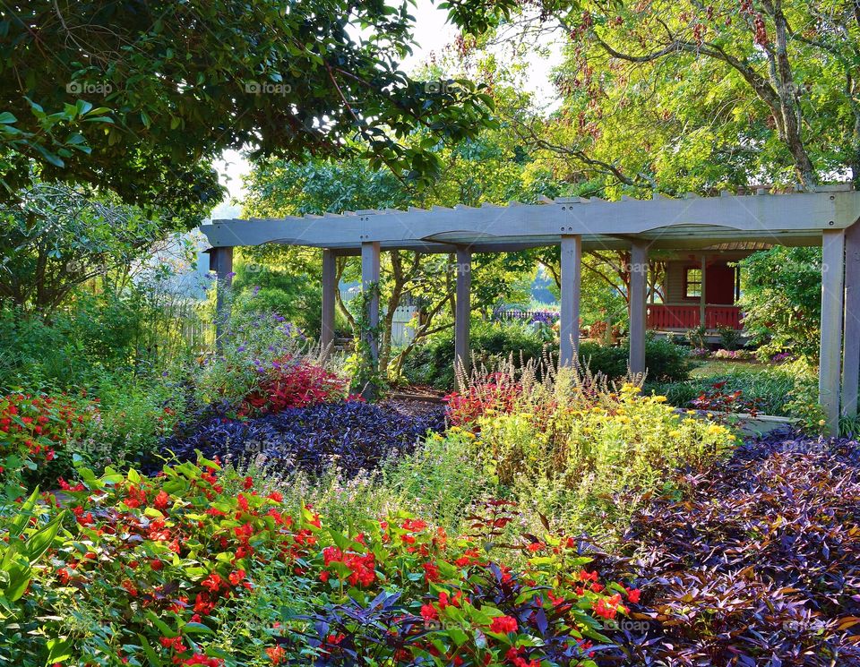 Urban garden