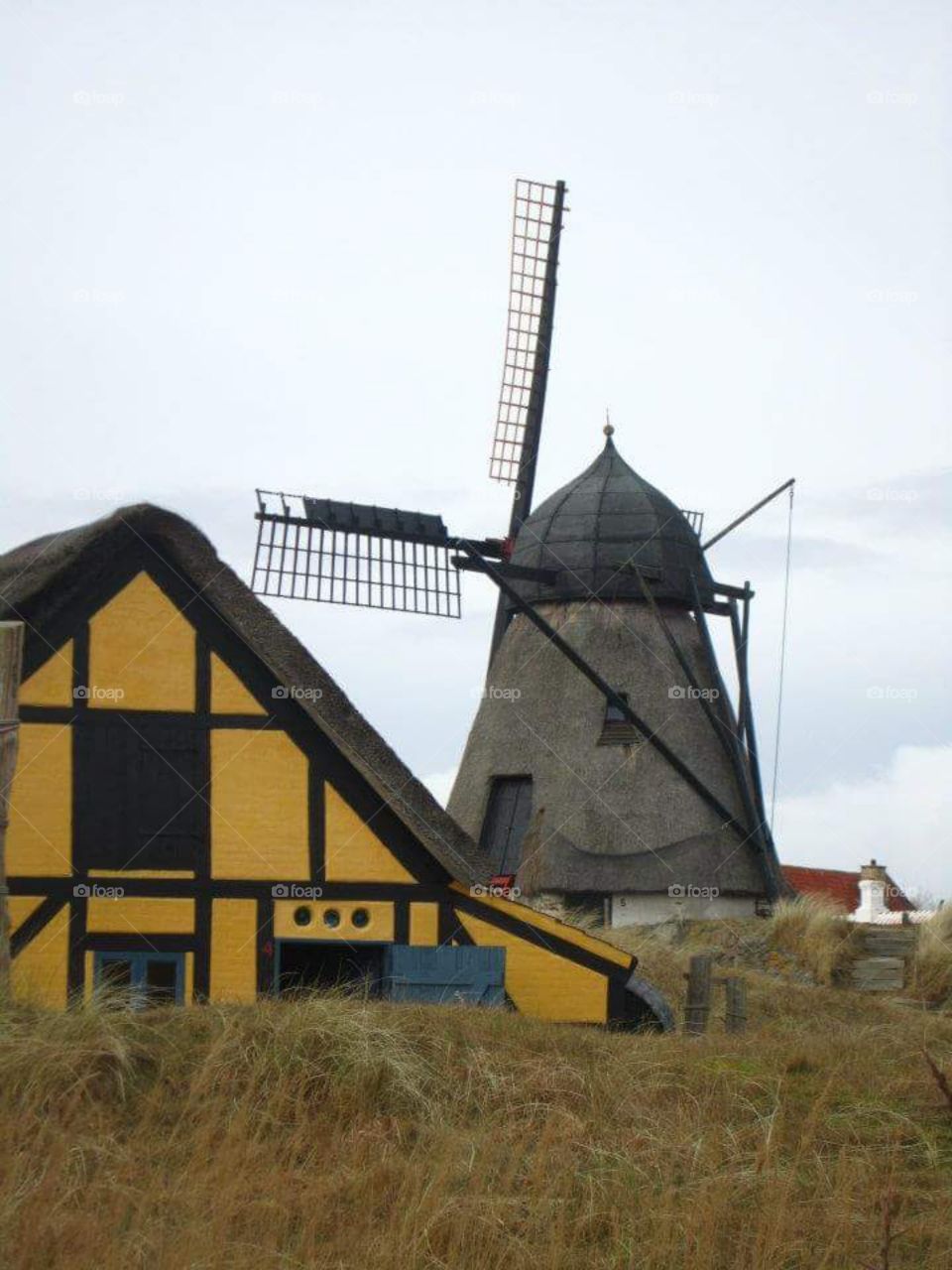 windmill