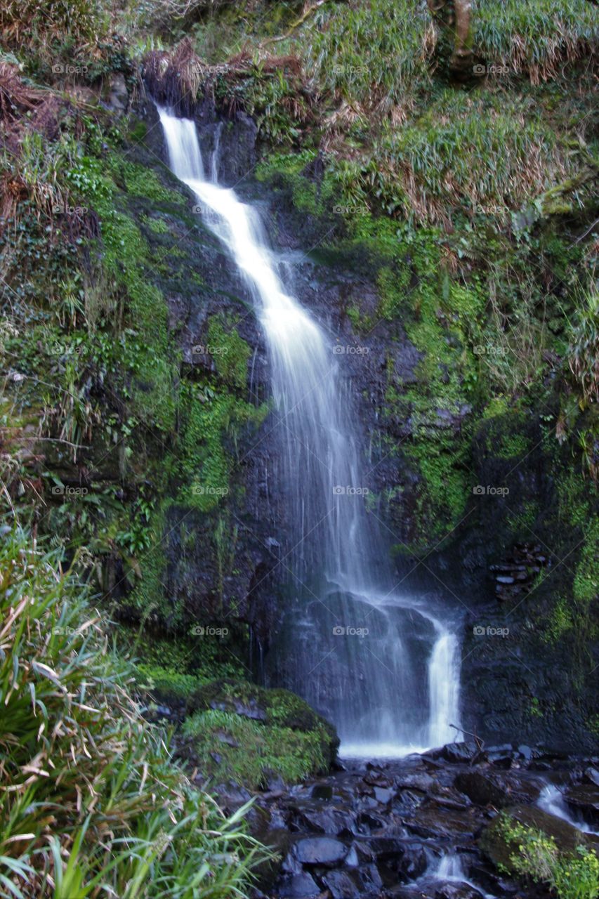 Waterfall, Water, Nature, Wood, No Person