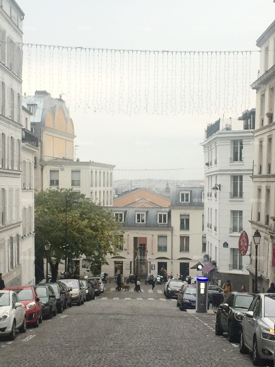 Parisian view 