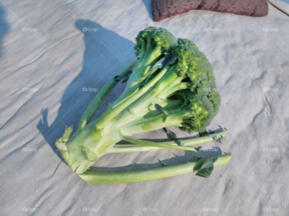 vegetable on the table