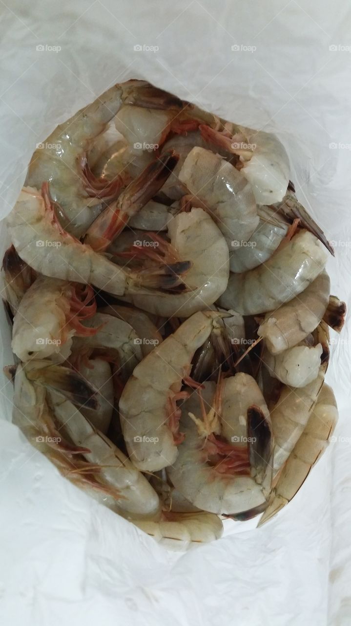 Shrimp, shrimp and more shrimp!