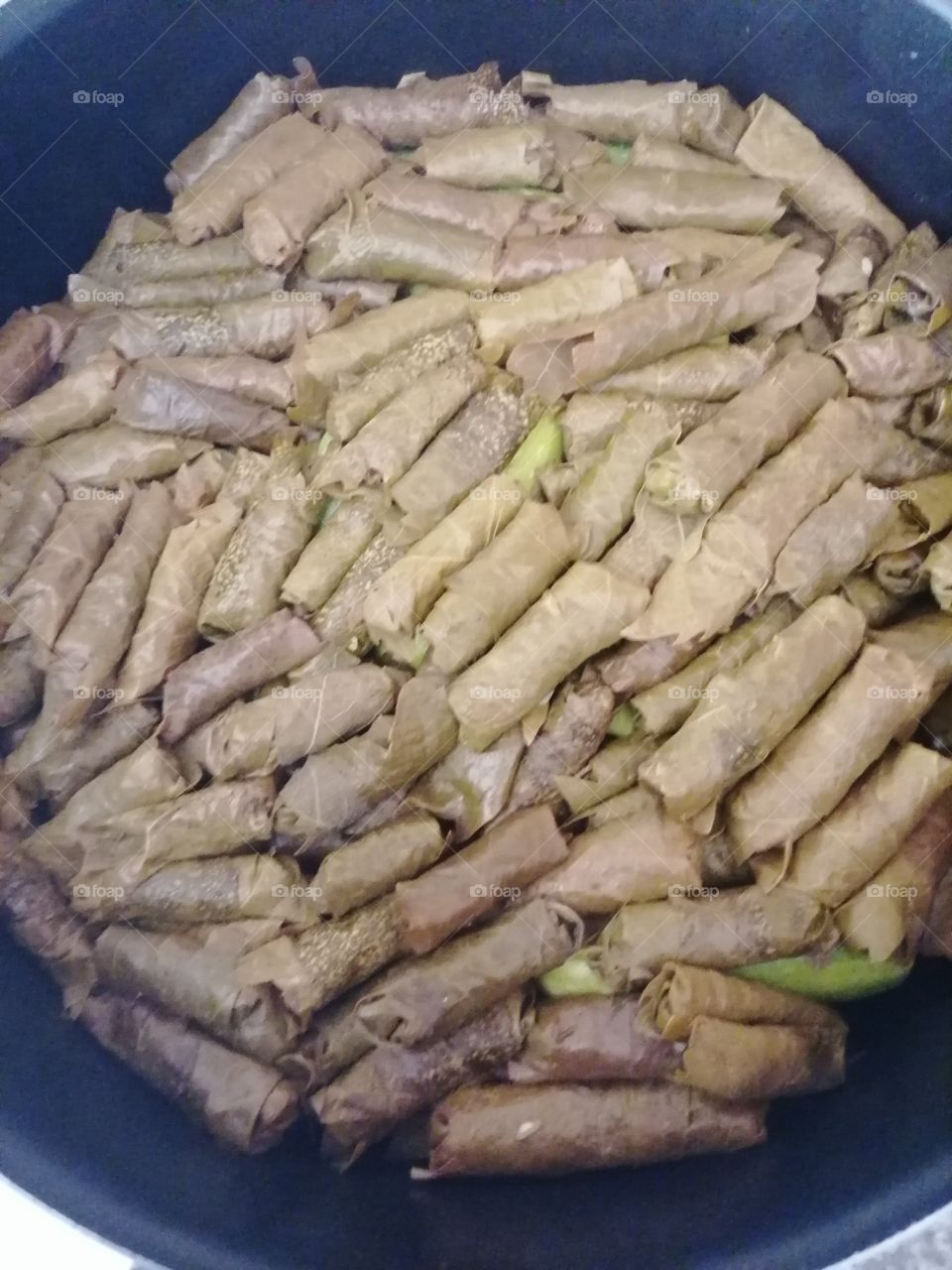 Varicose Coiled Vine Leaves