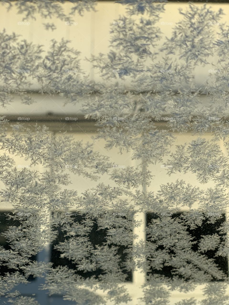 Frosty window