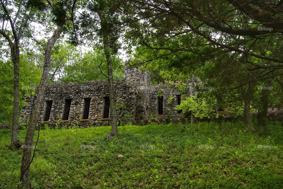 Castle ruins in forest