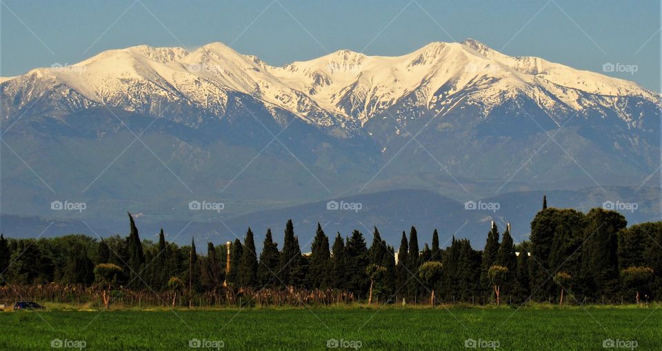 Canigou