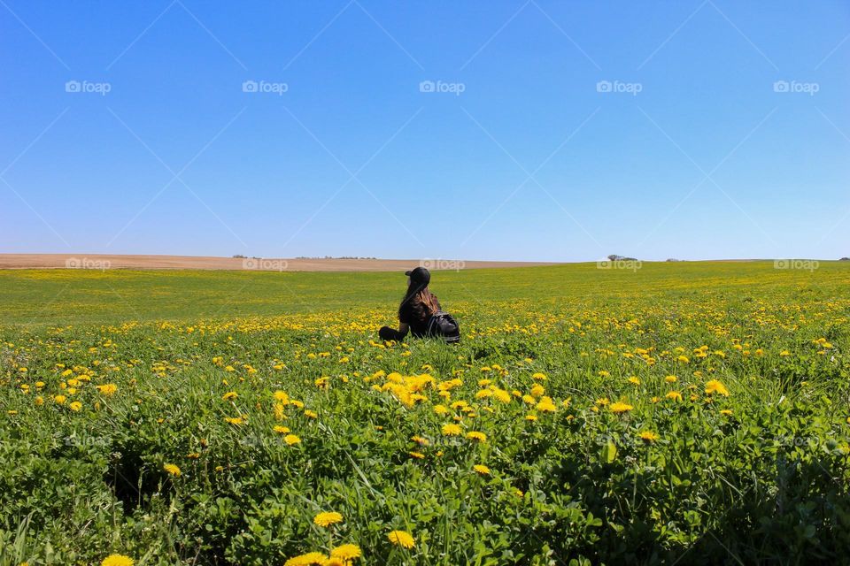 Resting on a field of dandelions. Reflection. Meditation.