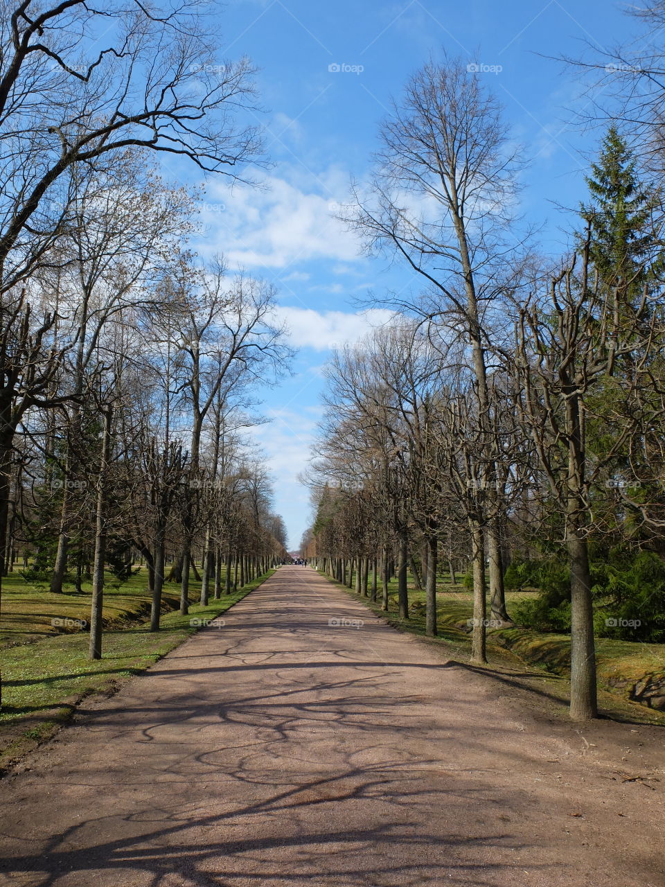 Spring garden walking beautiful park view 