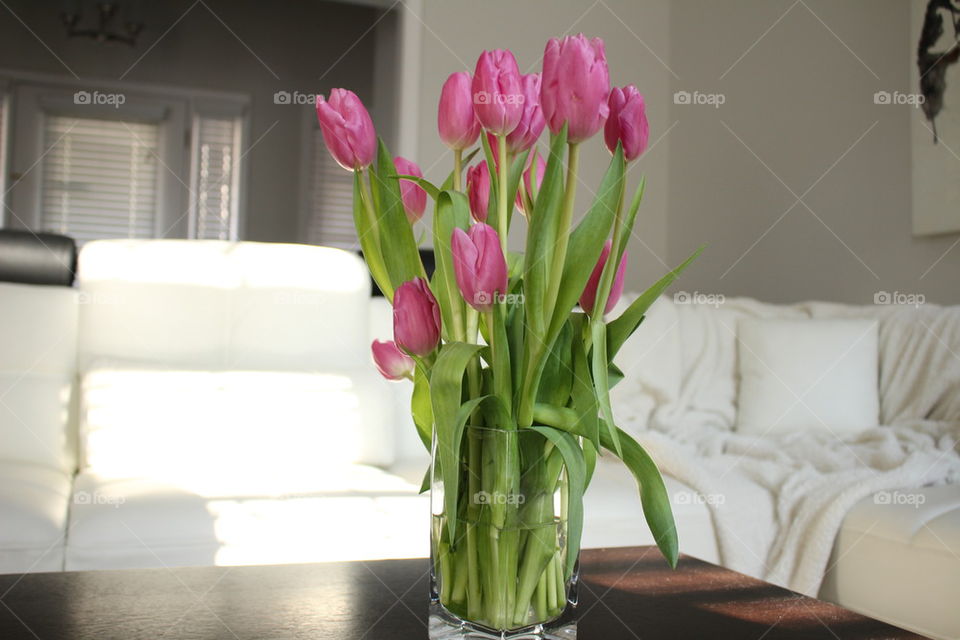 Pink tulips