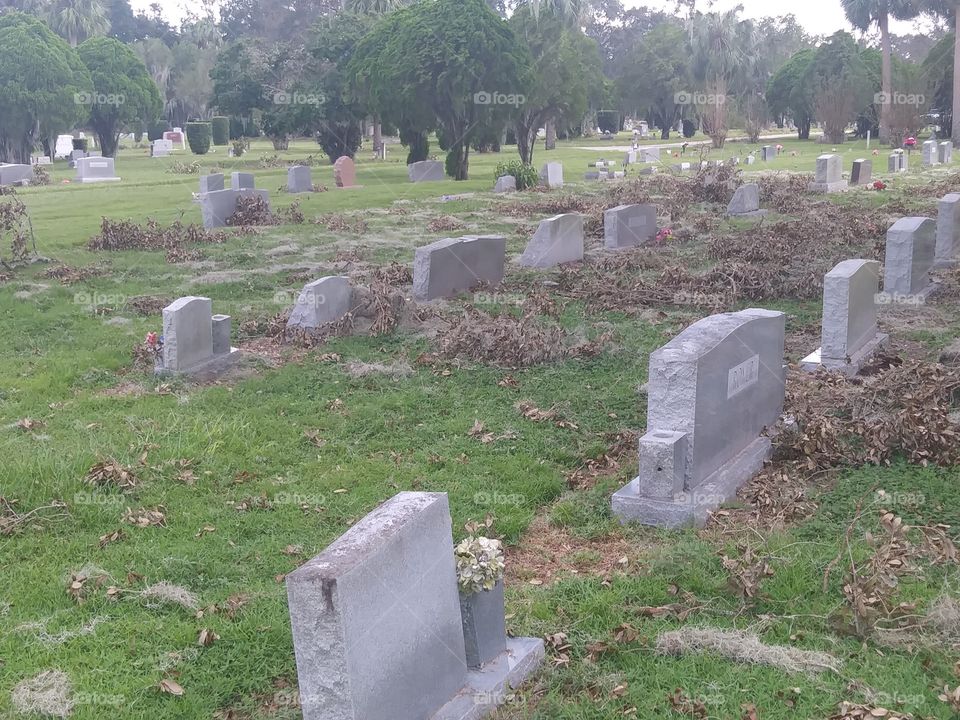 Graveyard headstones