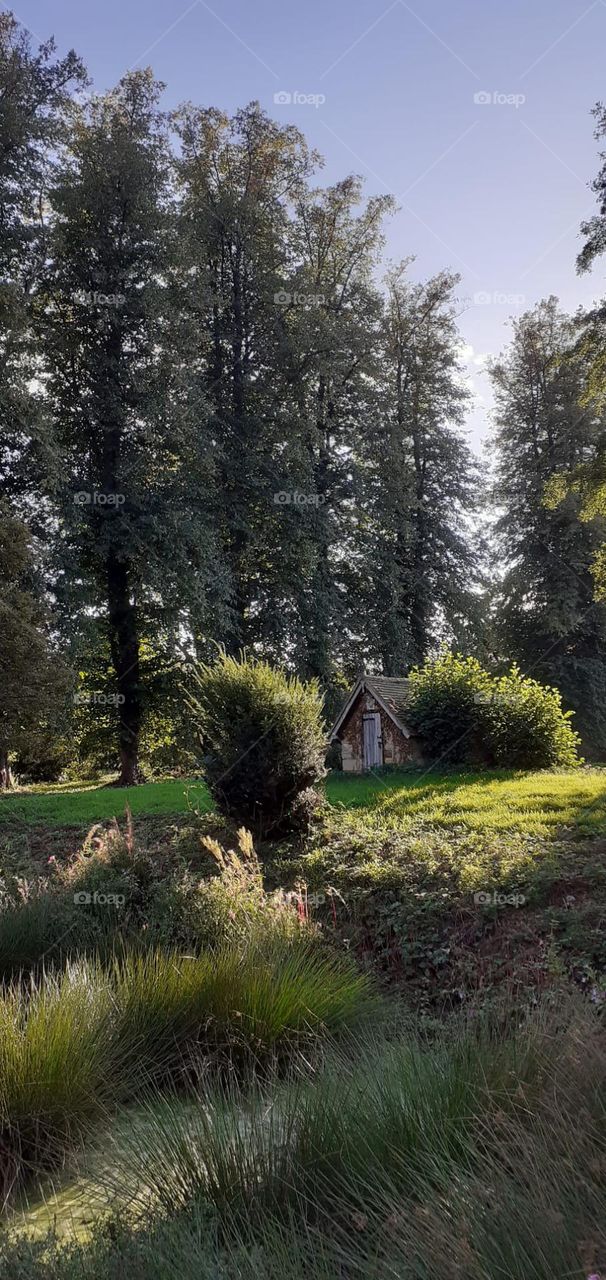 Tiny house in the subburb