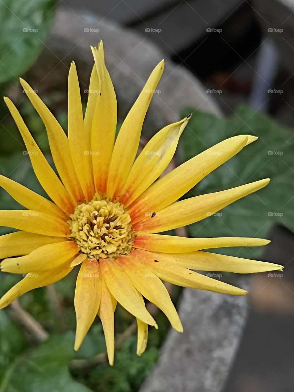 Smiling for years seems like that the charm is still  there and will be till the end.