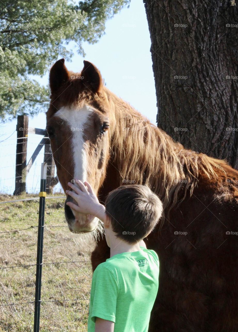 Young boy with horse 