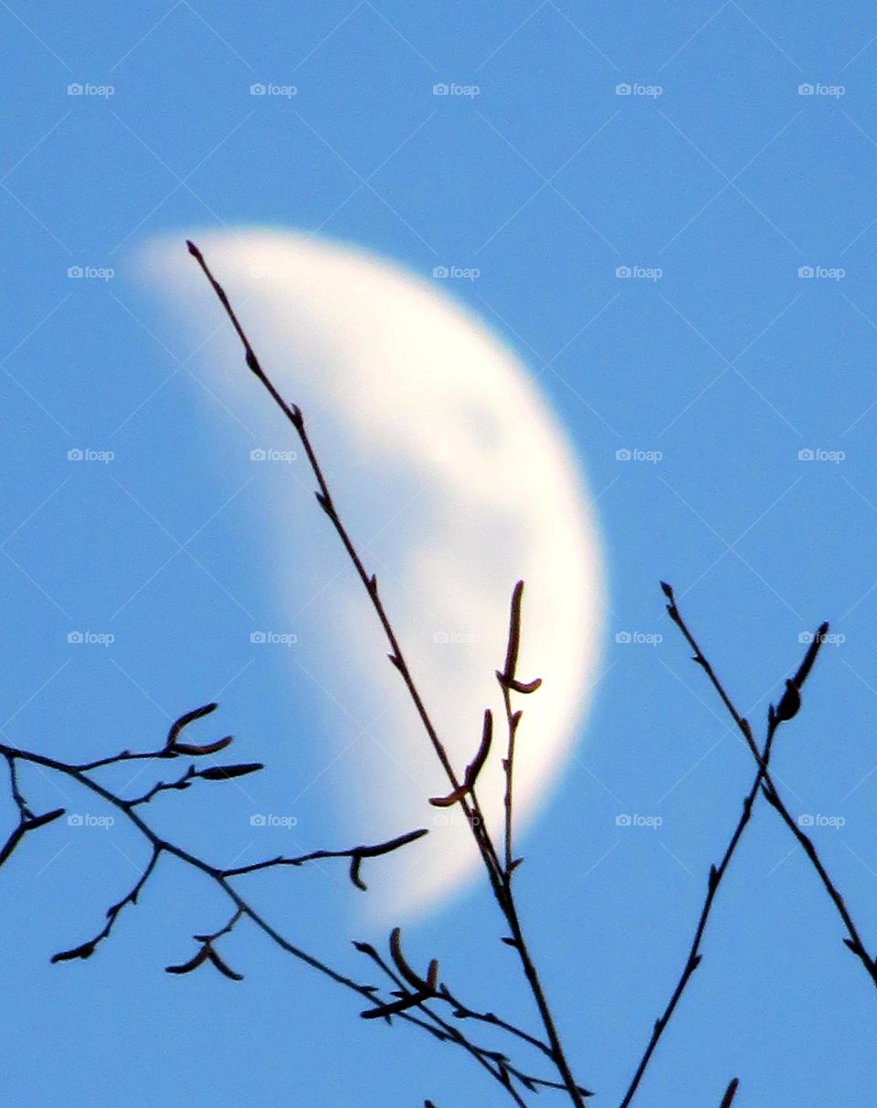 daytime moon