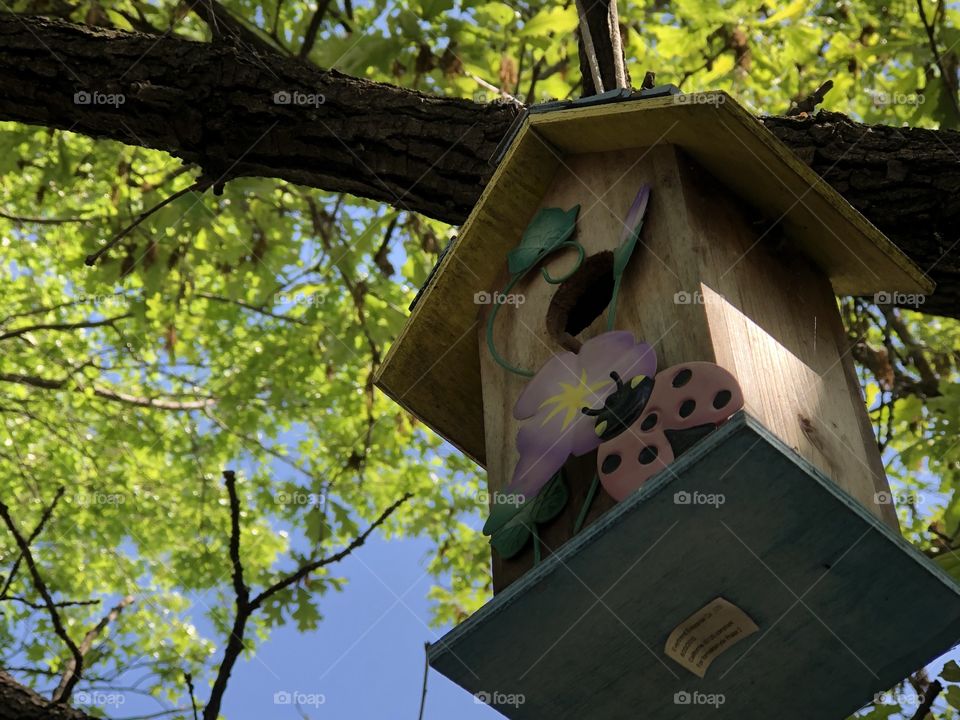 Bird house in tree