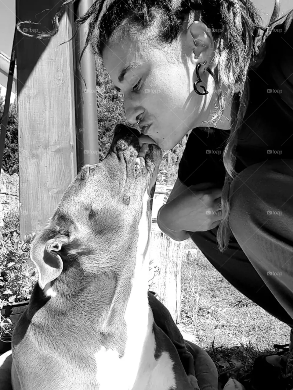Life with pets