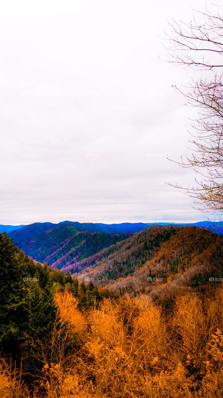 Beautiful fall afternoon in the mountains