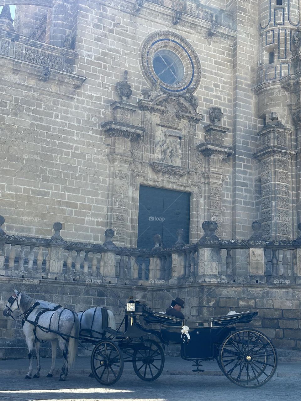 Horses careta Spain