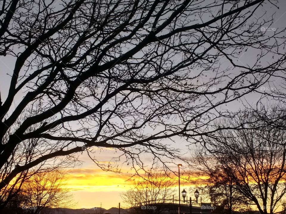 Denver Sun Set