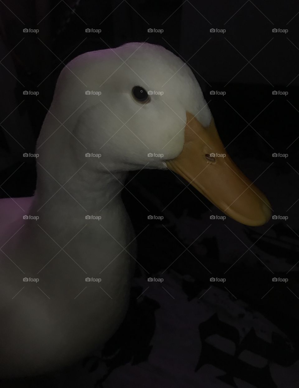 My Little Boy. ❤️