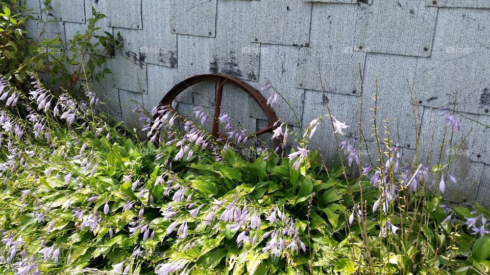 Pretty Garden. Day trips