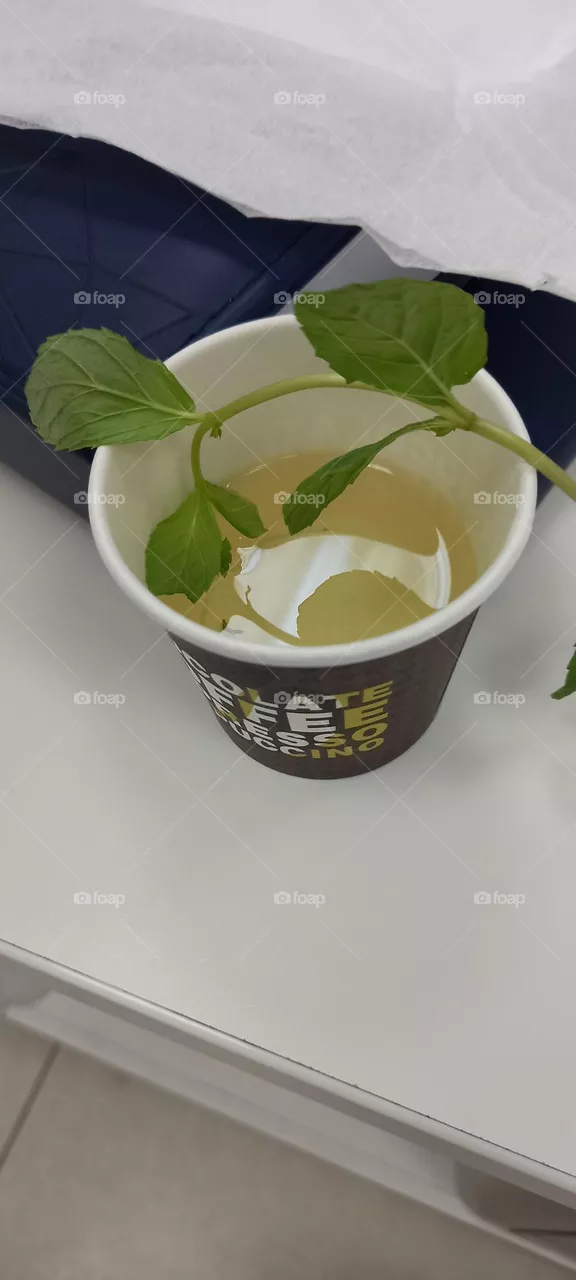 pure mint drink
