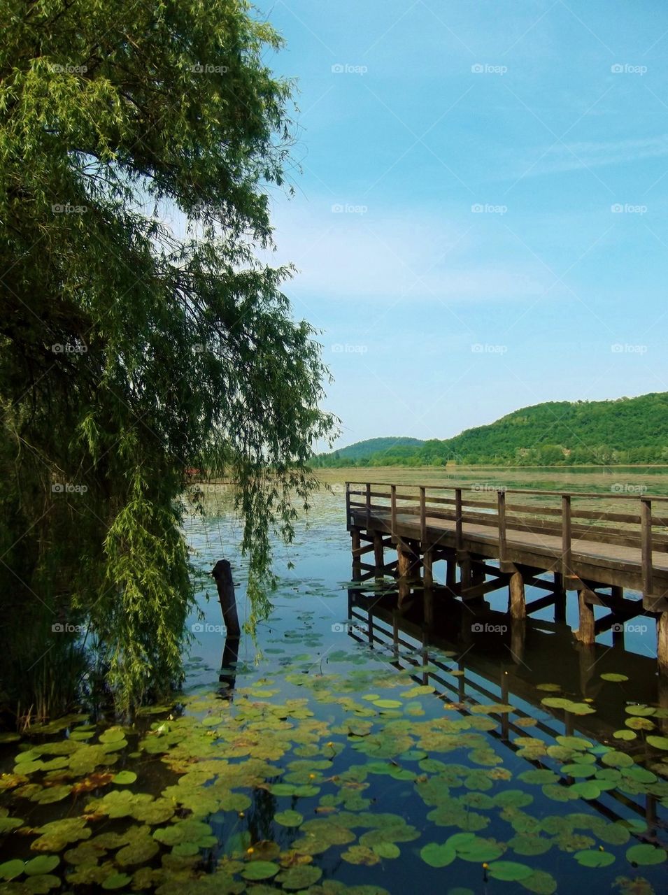 Boardwalk, Lago di Fimon