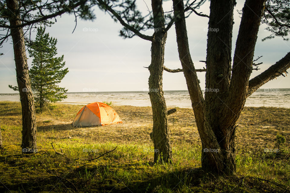 No Person, Landscape, Tree, Nature, Outdoors