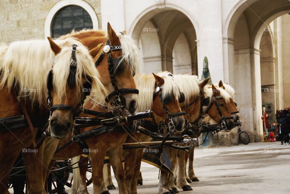 All lined up, ready for your trip through Salzburg
