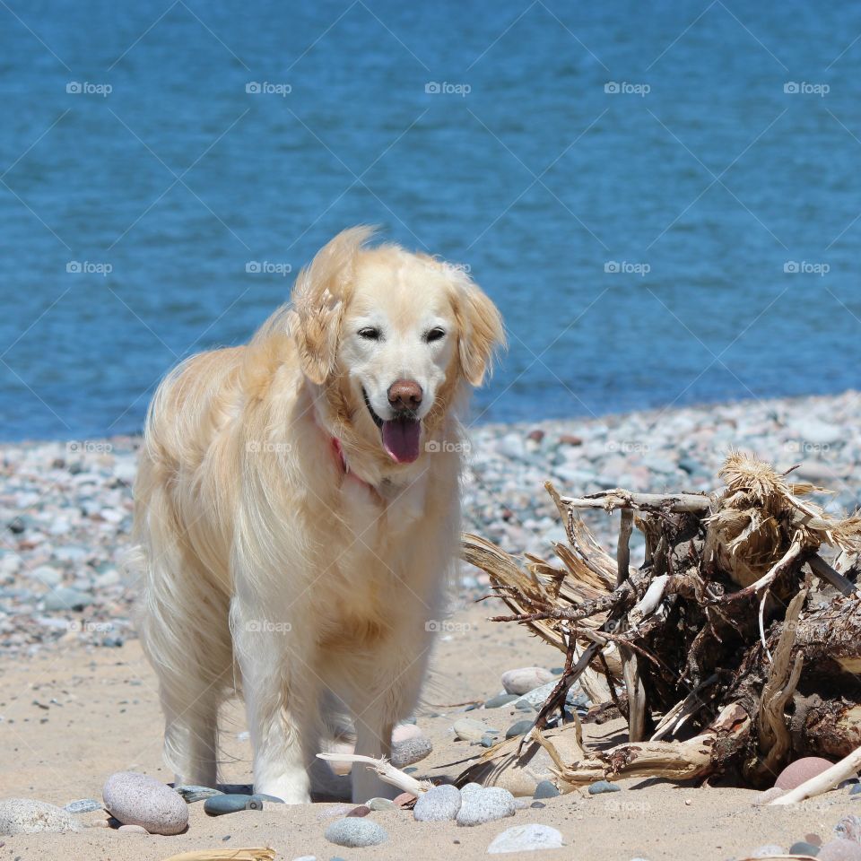 beach beauty