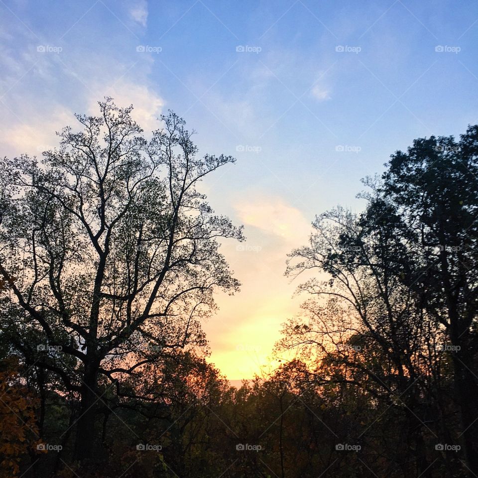 A dark o'clock run this morning and some deep work 