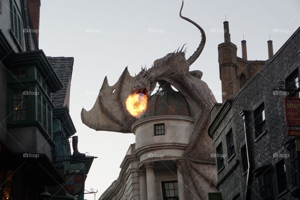 Fire breathing dragon at diagon alley