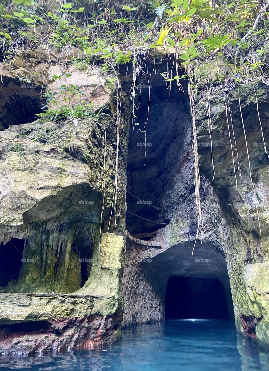 The view from inside a cenote