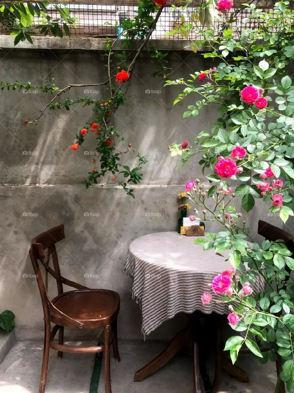 Flowers are the main style of this cafe, and especially in spring and summer, the nights of the cafe are unique.