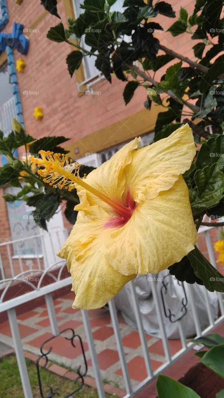 nature is always beautiful