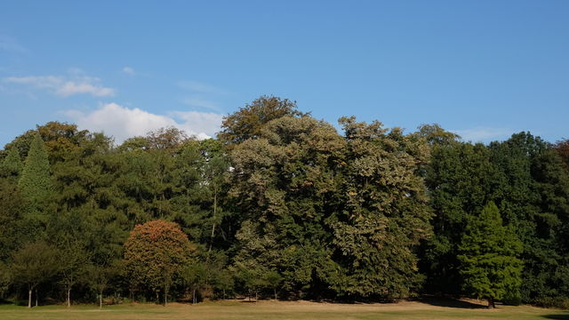 Park "Den Brandt" in Antwerp