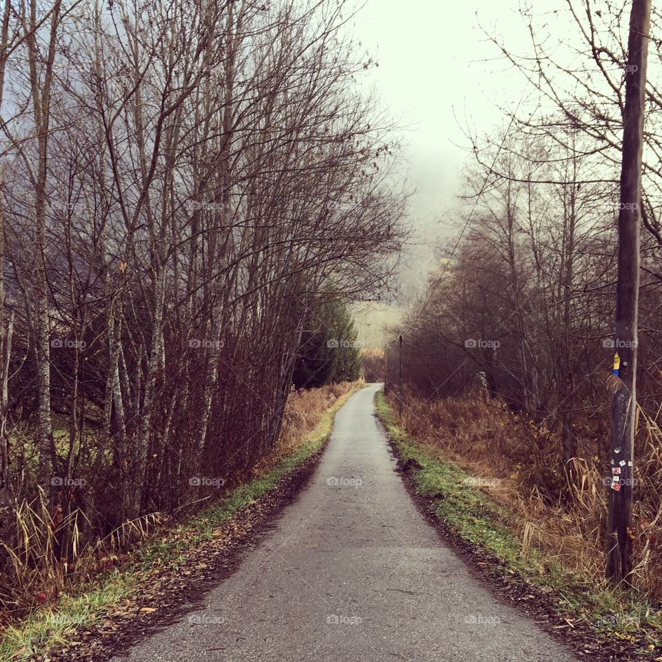 A Road Less Traveled