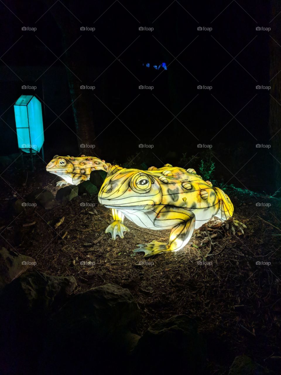 giant frog lantern
