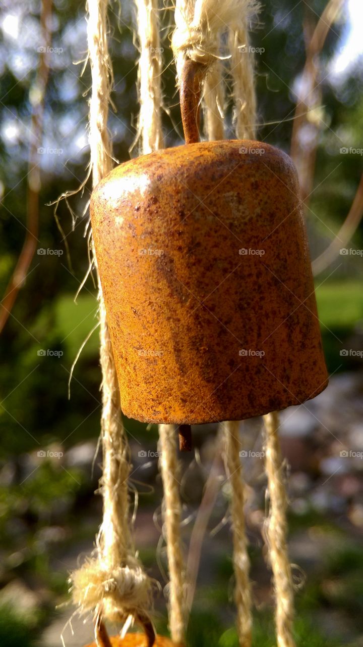 Bells in the backyard. 