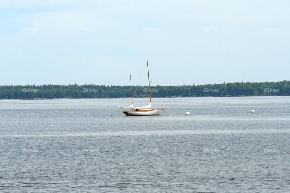 Sailing . Maine 