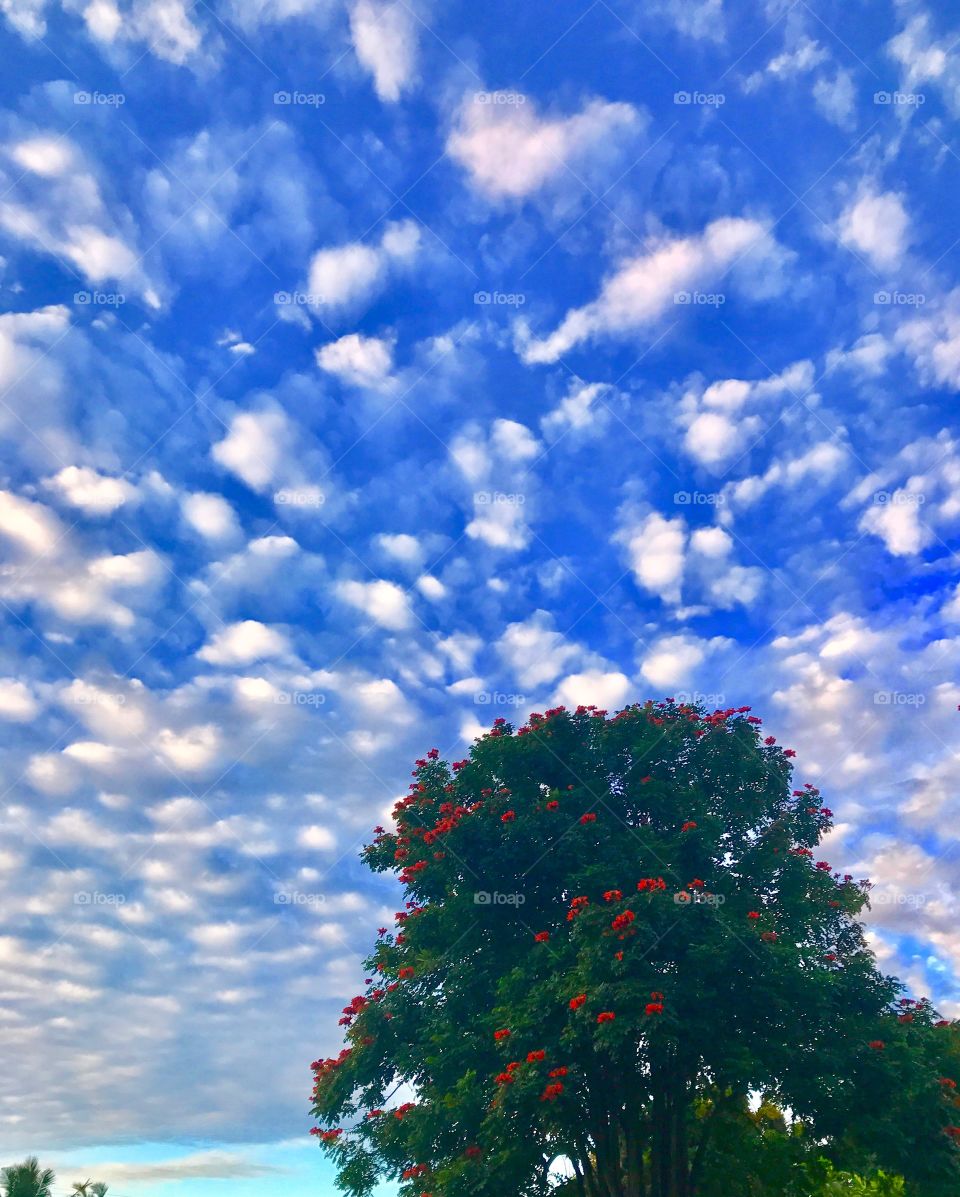 #Nature
#Sky
#Northern Fiji