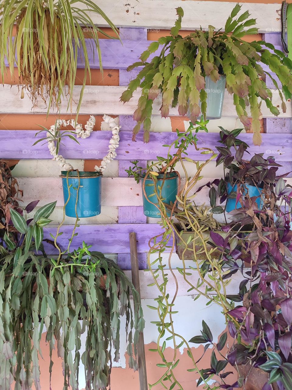 Wall art with pot plants