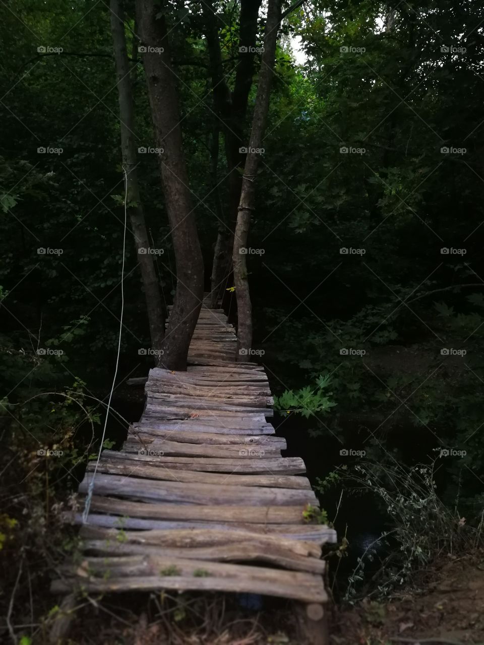 cute, historical bridge in the forest