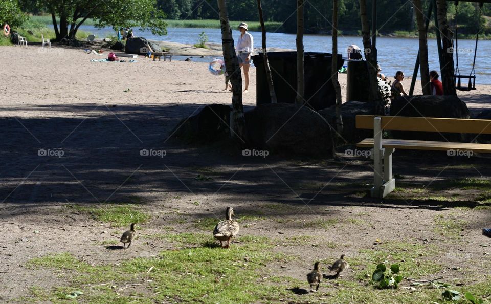 All kinds of families enjoying a day at the Kivinokka beach, Helsinki, Finland