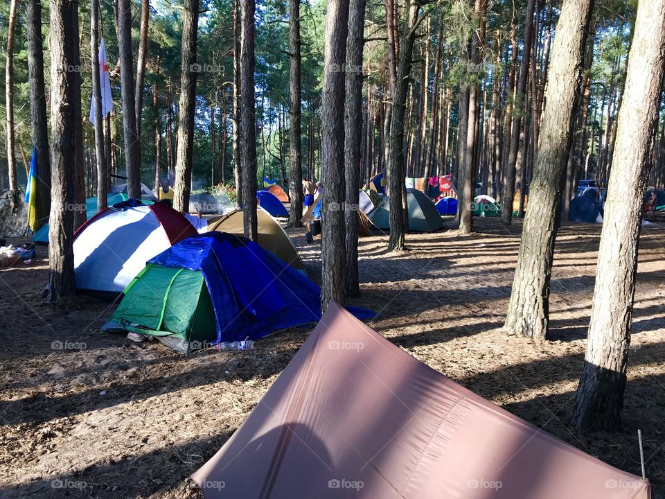 Camping in the forest 