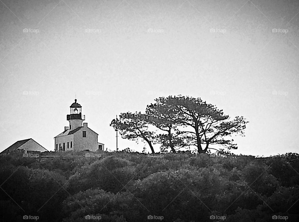Lighthouse on the hill 