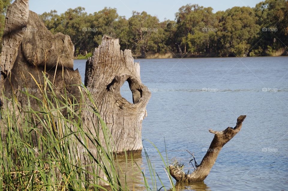 Murray River Victoria Australia